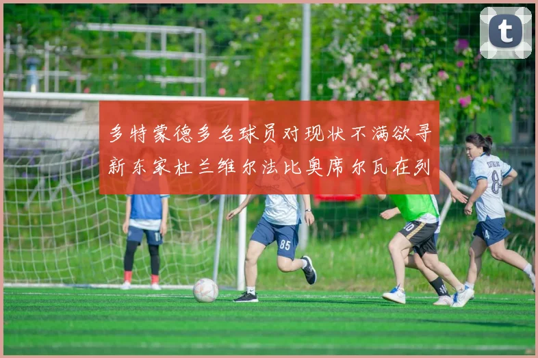 多特蒙德多名球员对现状不满欲寻新东家杜兰维尔法比奥席尔瓦在列